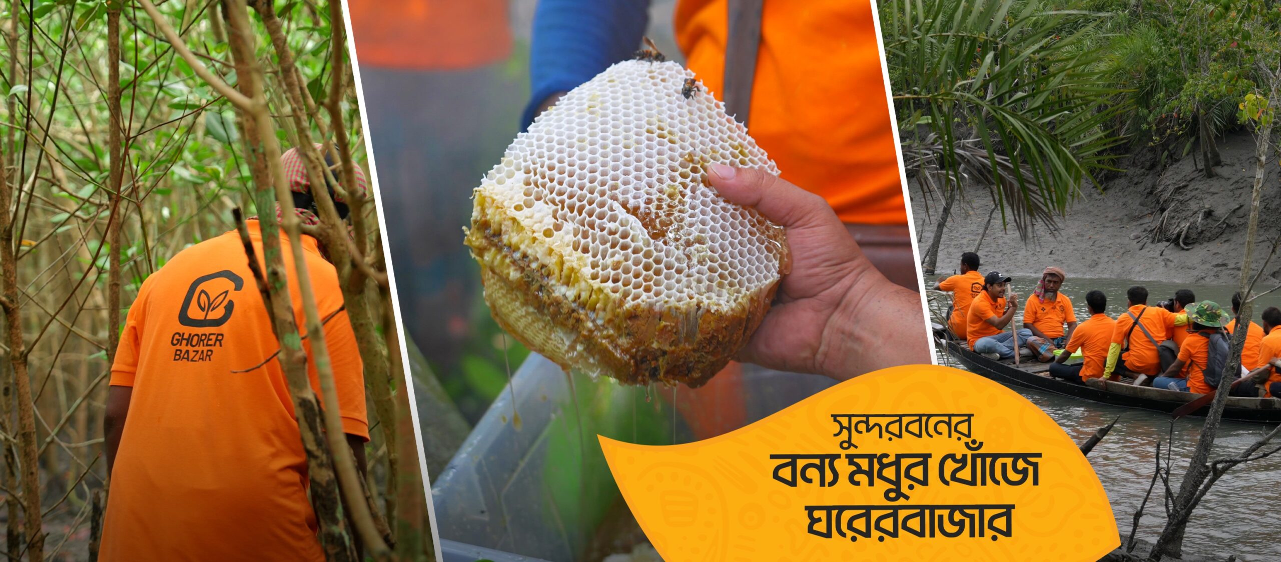 493335710_713393574690401_4765266167999220638_n